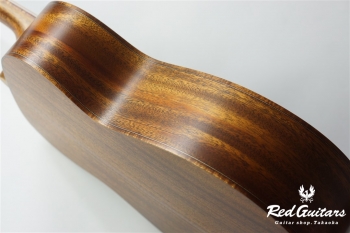 FLB-81
